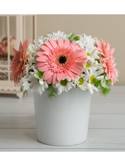 Pembe Gerbera ve Papatyalar